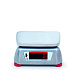 Порционные весы OHAUS Valor 4000 V41XWE15T фото2