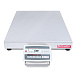 Платформенные весы OHAUS Defender 5000 D52XW60WQDX5 фото2