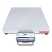 Платформенные весы OHAUS Defender 5000 D52P60RQDL5 фото1
