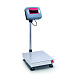 Платформенные весы OHAUS Defender 2000 D24PE30FR фото2